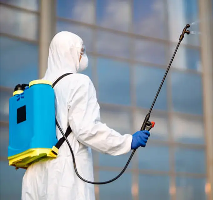 شركة مكافحة النمل الأبيض 3 Best choose Termite