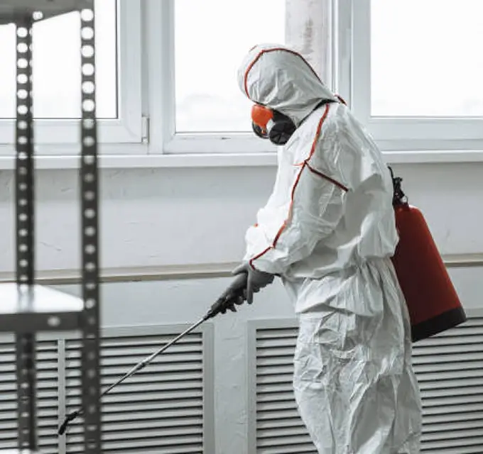 شركة مكافحة النمل الأبيض 6 Why Termite